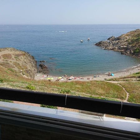 Portvendres Sea View Appartement Port Vendres Buitenkant foto