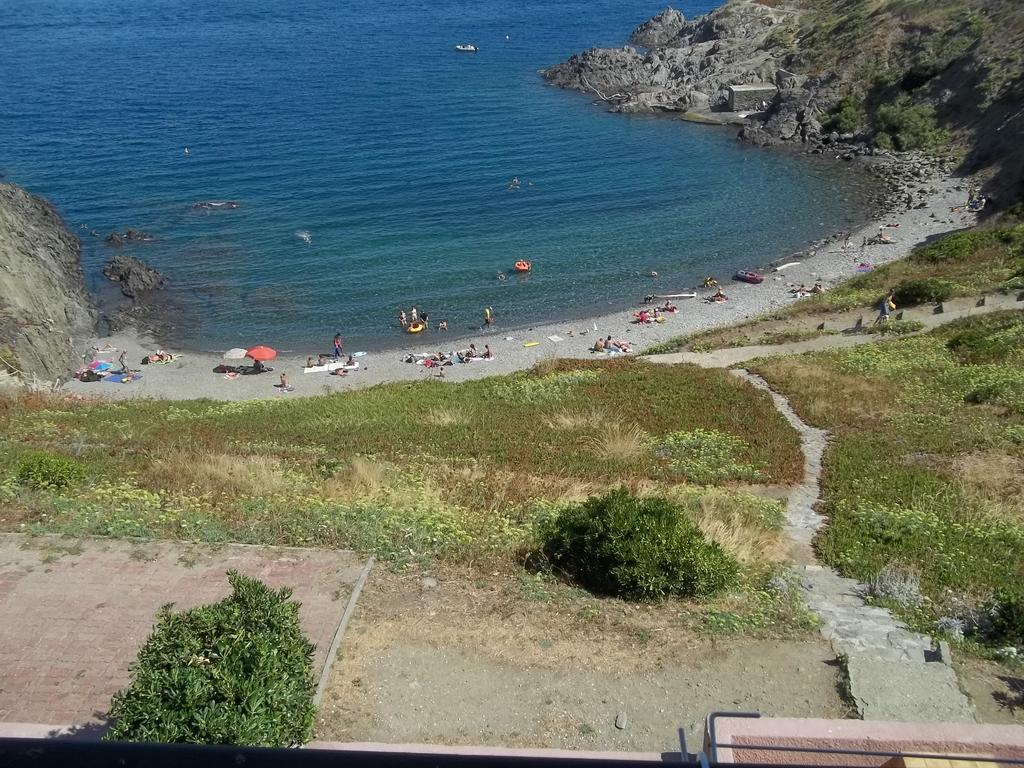 Portvendres Sea View Appartement Port Vendres Buitenkant foto